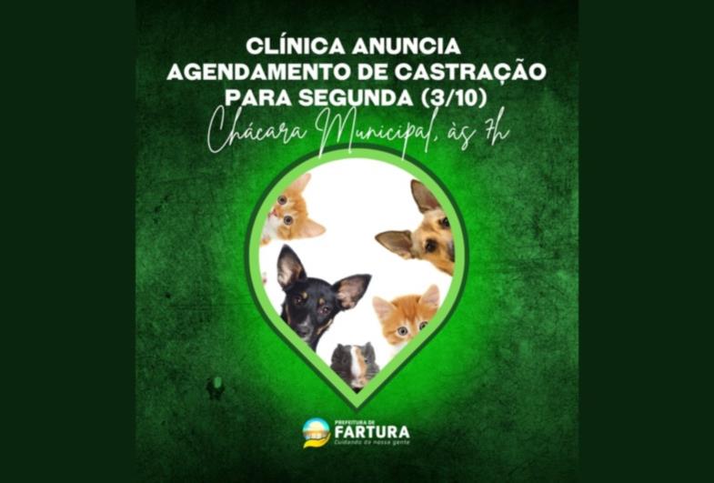 Clínica Veterinária anuncia agendamento de castração para segunda (3/10)