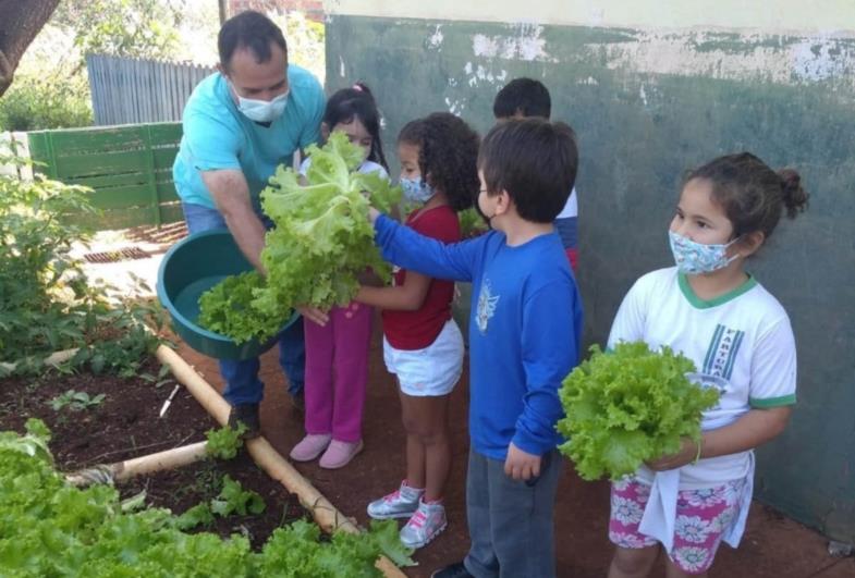 Projeto “Horta na Escola”: Alunos plantam e colhem hortaliças no CEI Madre Gaetana