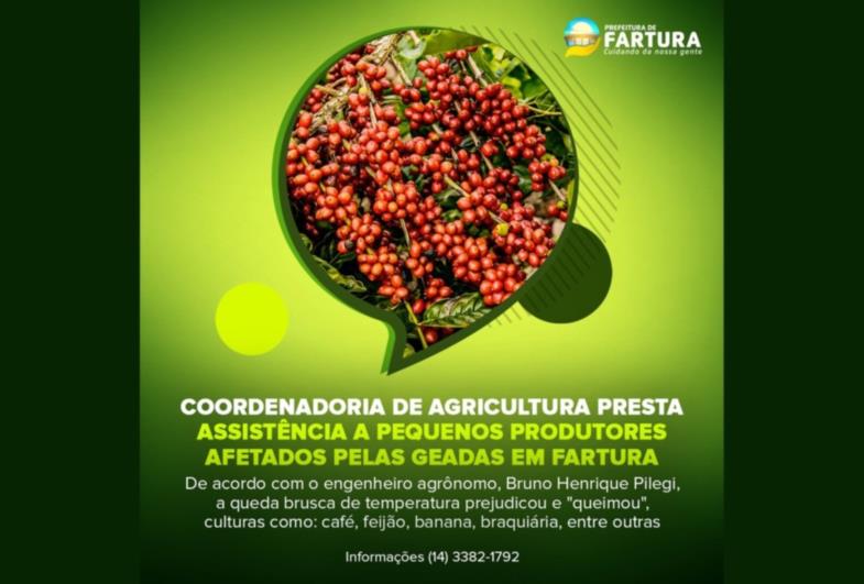 Coordenadoria de Agricultura presta assistência a pequenos produtores afetados pelas geadas em Fartura