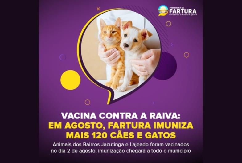 Vacina contra a raiva: em agosto, Fartura imuniza mais 120 cães e gatos