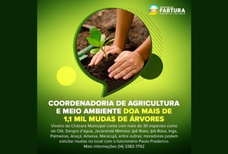 Coordenadoria de Agricultura e Meio Ambiente doa mais de 1,1 mil mudas de árvores