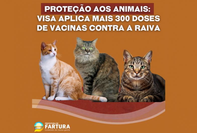 Proteção aos animais: VISA aplica mais 300 doses de vacinas contra a Raiva