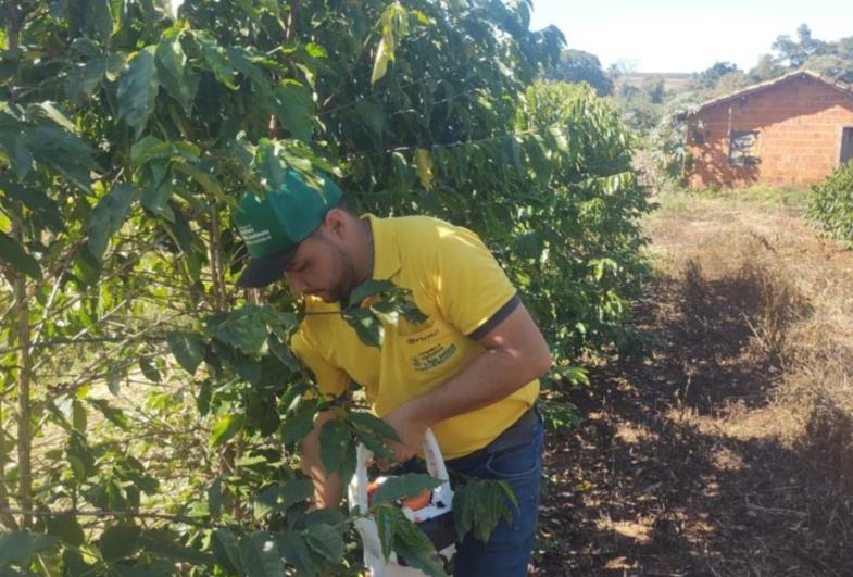 Coordenadoria de Agricultura presta assistência gratuita com análise de solo