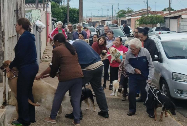 Primeira etapa imunizou centenas de pets