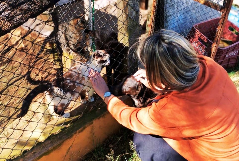 Doações foram feitas ao amor de quatro de patas