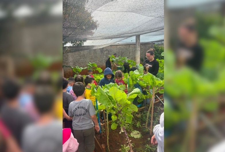 Crianças da Escola Delmira Terezinha Villa Gobbo participam  de atividades na horta comunitária da ESF Jardim Ypês