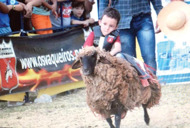 Rodeio Mirim se consolida como mais uma atração da Expofar