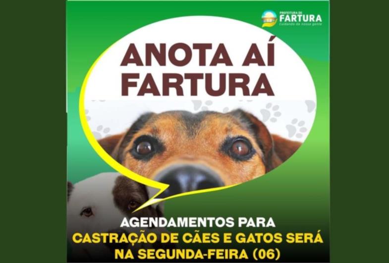 Agendamentos para castração de cães e gatos será na segunda-feira (06) em Fartura
