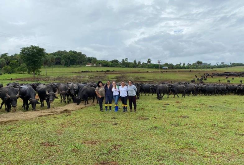 Zootecnia e Veterinária Eduvale apoiam o caso das búfalas de Brotas