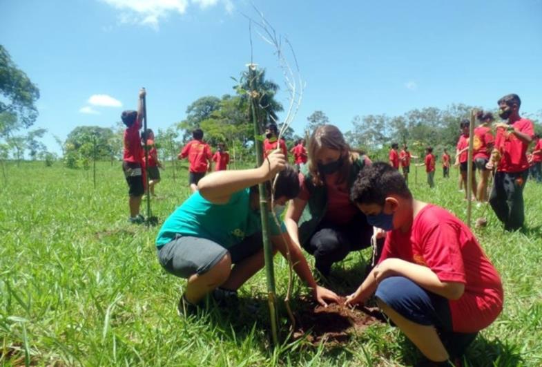  Alunos de projeto social participam do plantio de mudas nativas no Horto de Avaré