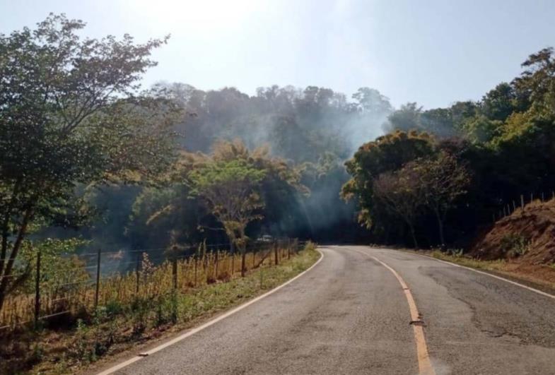 Queimadas preocupam Coordenadoria de Meio Ambiente e Defesa Civil de Fartura