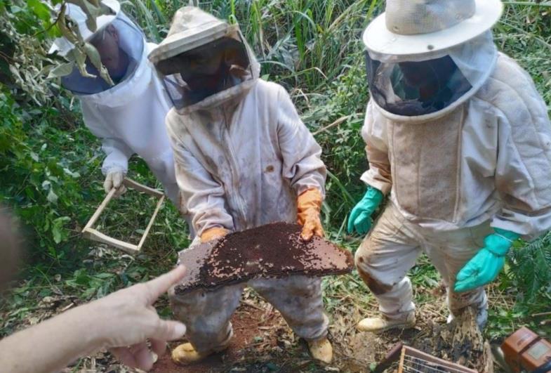 Timburi realiza curso de apicultura com o apoio do Sindicato Rural de Piraju e SENAR