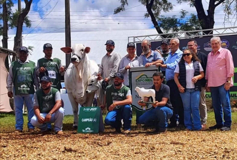 Exponel 2026 coloca Avaré no centro da pecuária nacional e reúne elite da genética Nelore do Brasil