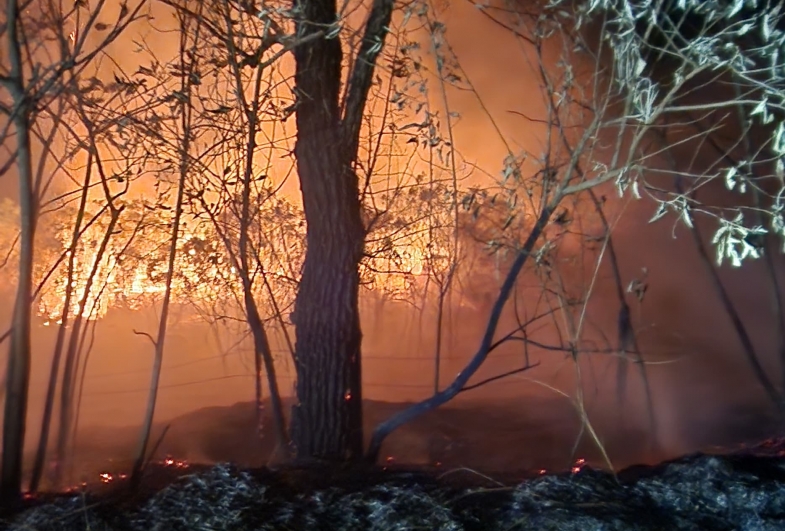 Defesa Civil combate três focos de incêndio em menos de 24 horas no vicinal sentido Ribeirão Bonito