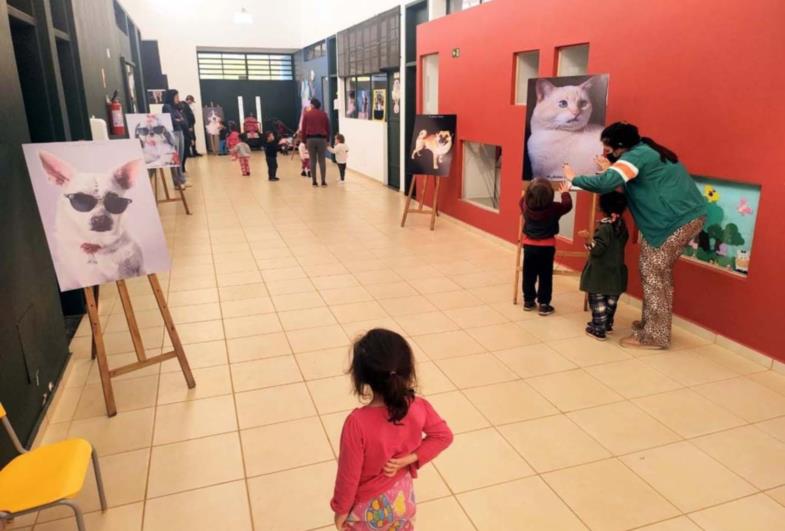 Exposições de fotos sobre Pets nas escolas de Timburi 