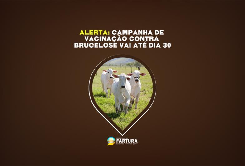 Agricultura alerta: Campanha de Vacinação contra Brucelose vai até dia 30