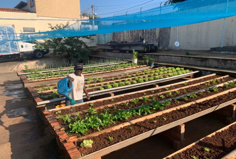 Horta Solidária incentiva plantio de alimentos orgânicos na Casa de Passagem