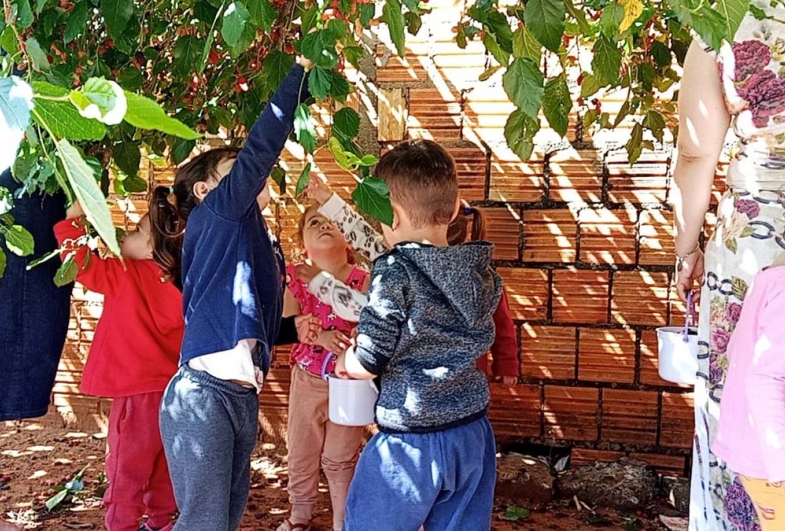 Pequenos exploradores descobrindo de onde vem o alimento natural