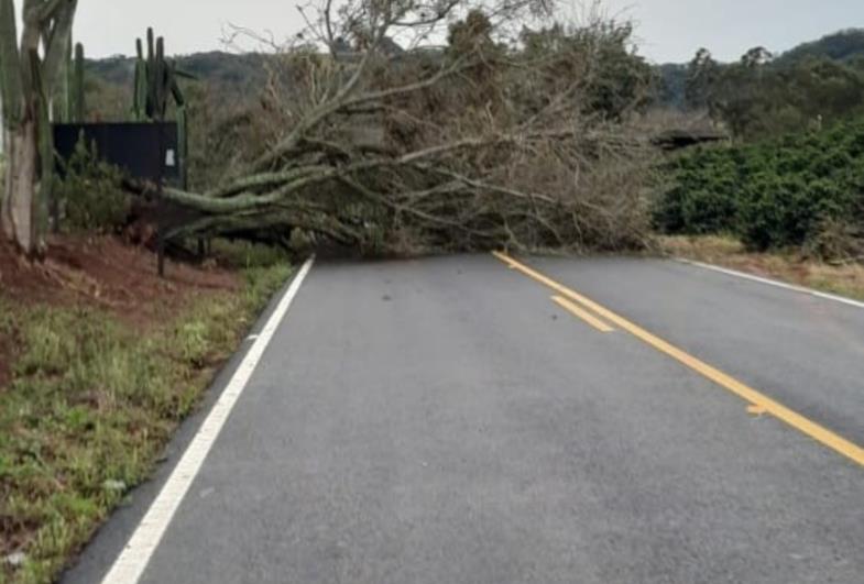 Prefeitura trabalha para sanar danos causados pelas chuvas intensas da madrugada