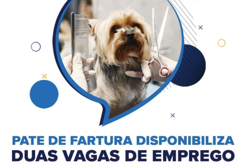 PATE de Fartura disponibiliza duas vagas de emprego