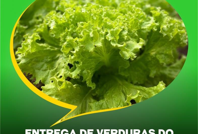 Entrega de verduras do Programa “Horta Alimento” será na quarta-feira (26)