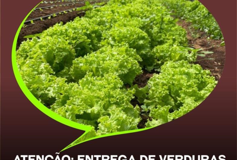 Atenção: entrega de verduras do Programa “Horta Alimento” será na quarta-feira (2)