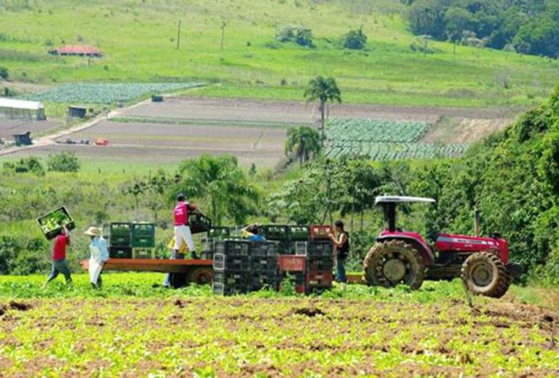 DORIA LANÇA PROGRAMA AGROSP+SEGURO E ANUNCIA R$ 215 MILHÕES PARA CRÉDITO E SEGURO RURAL EM APOIO A PRODUTORES