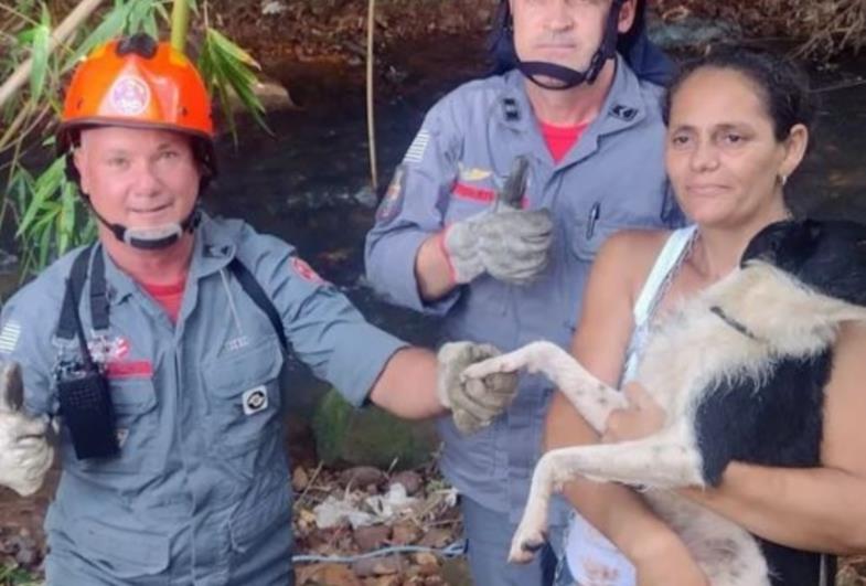 Bombeiros resgatam cadela que ficou presa em bambuzal nas margens de rio 