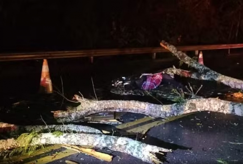 Motociclista morre e garupa fica ferido após serem atingidos por árvore que caiu em rodovia de Capão Bonito