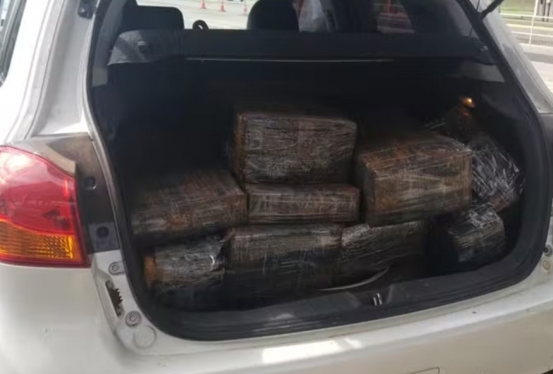 Polícia Rodoviária apreende quase 300 quilos de maconha na rodovia Castelo Branco em Boituva