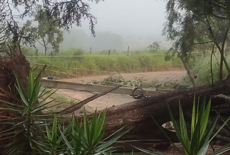 Chuva derruba árvores, danifica postes e moradores ficam sem energia elétrica em Itapetininga