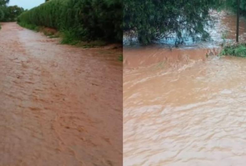 Queda de árvores, ruas alagadas e falta de água: veja os estragos provocados pela chuva na região