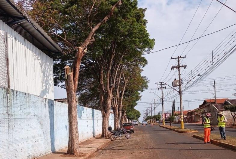 Defesa Civil realiza poda de árvores no centro de Taquarituba 