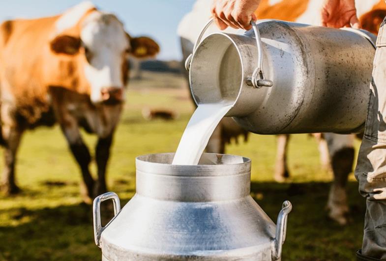 Em três anos, Governo de SP distribui mais de 200 milhões litros de leite
