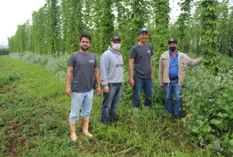 Fazenda de Fartura é destaque na produção de lúpulo 