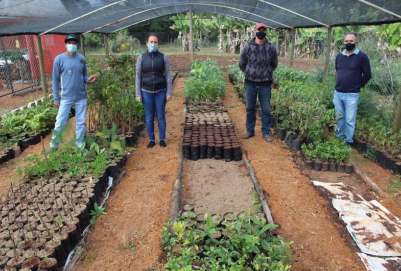 Chácara Municipal distribui mudas para arborização em Fartura