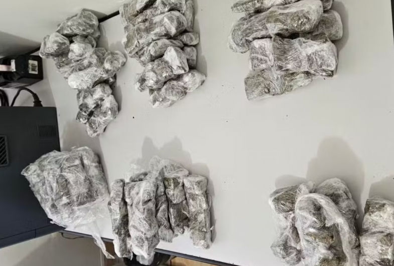 Foram apreendidas 6.475 porções de drogas, entre elas 66 porções de crack, 380 porções de maconha, 2.115 porções de ice, 3.133 eppendorfs com cocaína, 780 porções de skunk e um tijolo de maconha — Fot