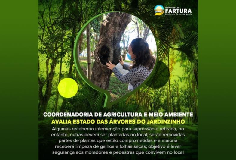 Coordenadoria de Agricultura e Meio Ambiente avalia estado das árvores do Jardinzinho