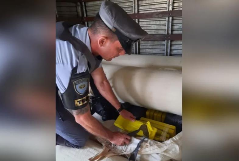 Polícia apreende quase duas toneladas de maconha