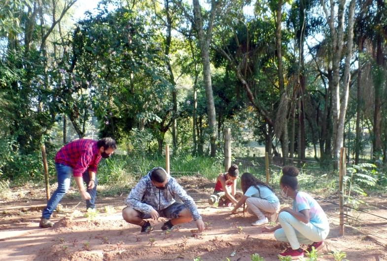 Projeto do Meio Ambiente cria horta orgânica no Horto Florestal