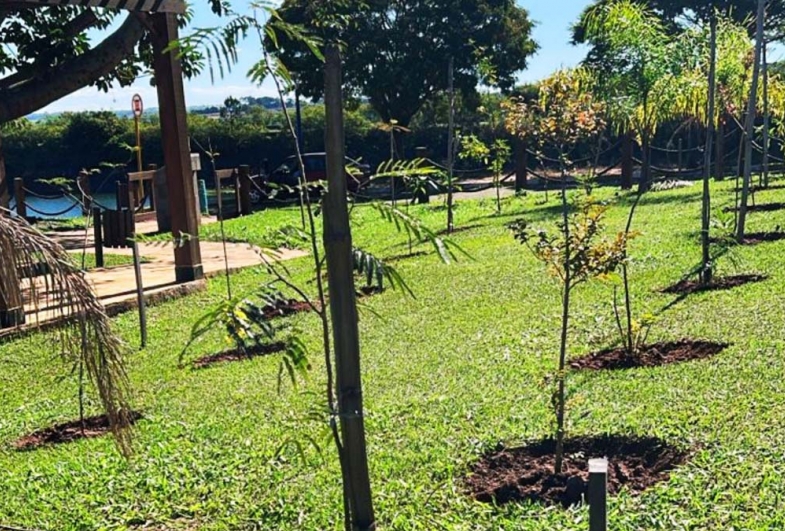 Camping Municipal de Avaré recebe ação de segurança e renovação ambiental