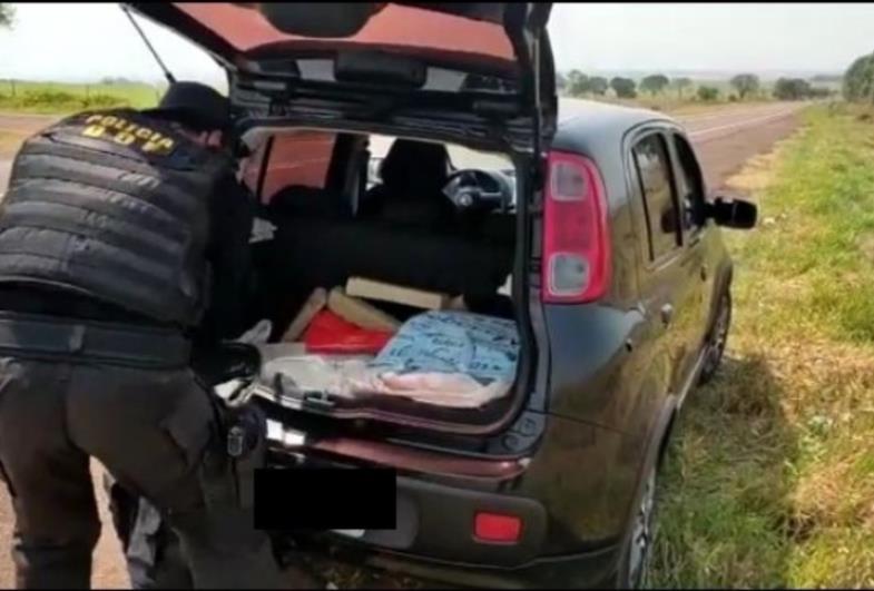 Polícia do Mato Grosso do Sul prende casal de Avaré portando 60 quilos de maconha