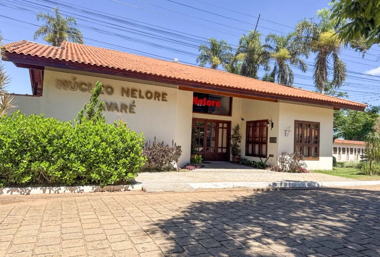 Avaré consolida protagonismo mundial com a abertura da EXPONEL 2026 em março