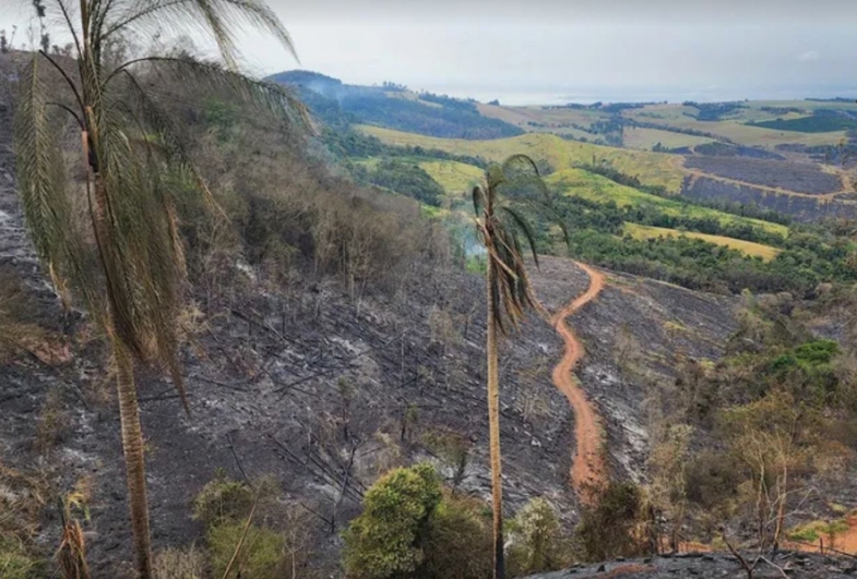 Chuva ajuda a controlar incêndio de grandes proporções que durou quatro dias