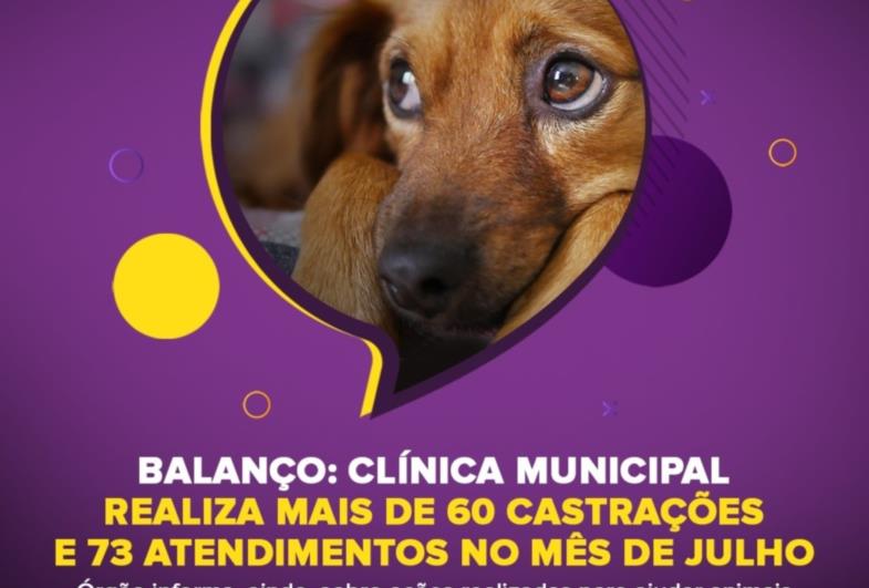 BALANÇO: CLÍNICA VETERINÁRIA MUNICIPAL DE FARTURA  REALIZA MAIS DE 60 CASTRAÇÕES E 73 ATENDIMENTOS NO MÊS DE JULHO