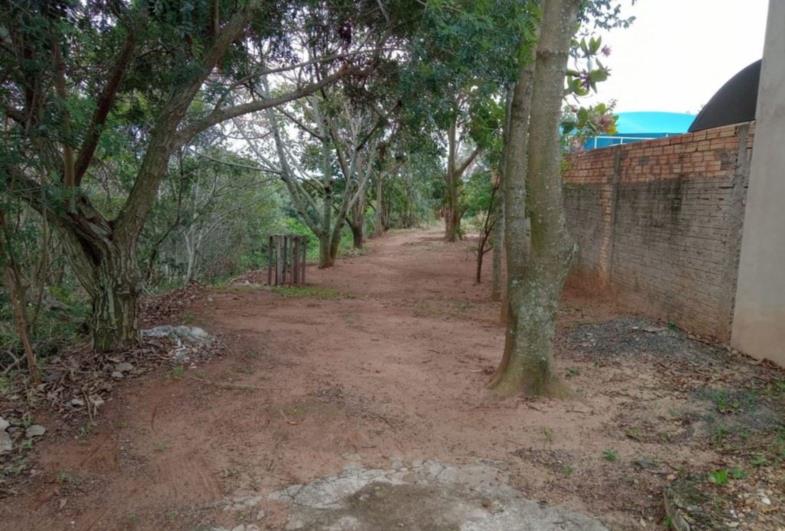 Moradores do bairro São Rogério revitalizam área verde no município de Avaré 