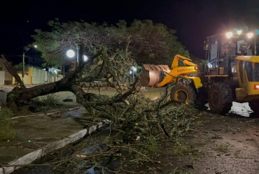 Vendaval e chuvas de pedras causam estragos em Timburi 