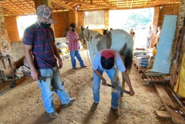  SENAR e Sindicato Rural de Piraju promovem cursos em Timburi 