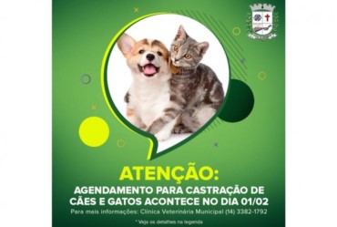 Agendamento para castração de cães e gatos acontece no dia 1º de fevereiro