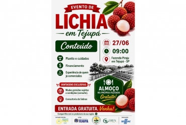 Tejupá promove evento sobre produção de lichia com especialistas e produtores da região